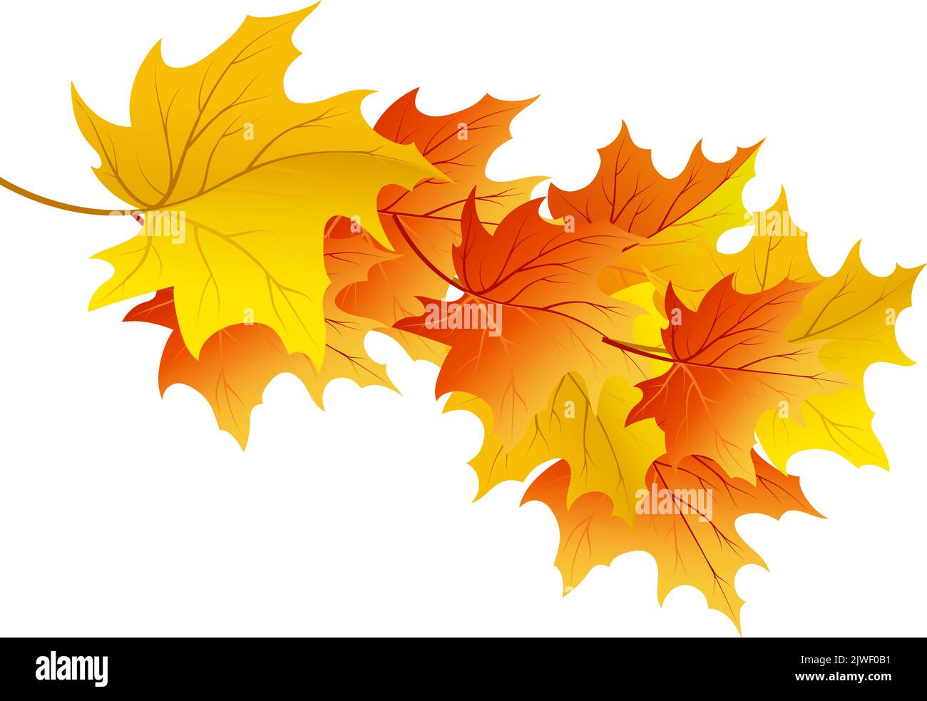 Autumn Element for creating great fall design. Vector illustration ...