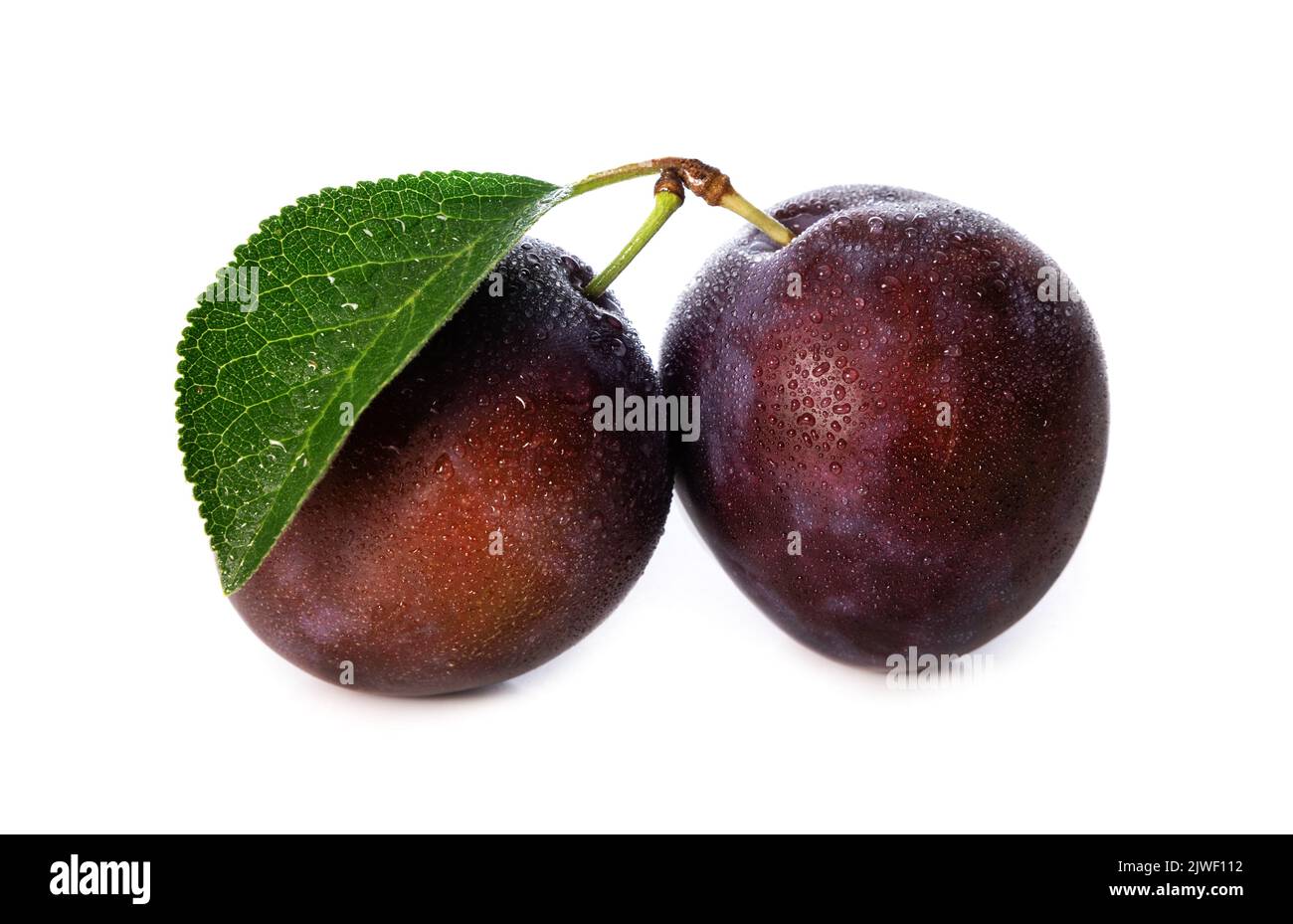 wet purple plums with leaf isolated on white background Stock Photo