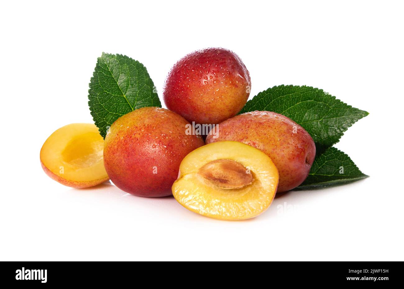 plums with leaves isolated on white. prunus domestica victoria Stock Photo