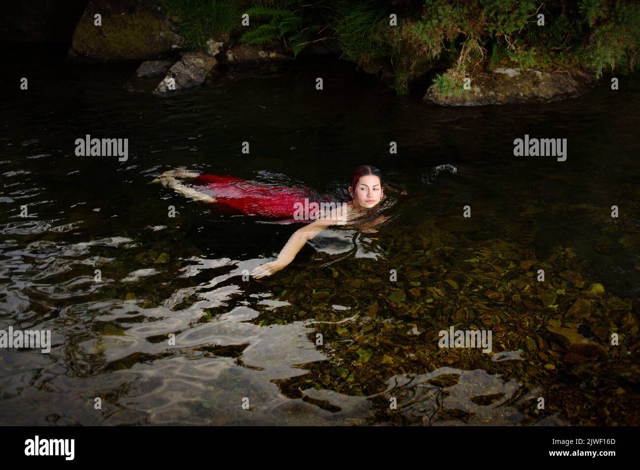 Woman cold water swimming in a river fully clothed in a red dress Stock Photo