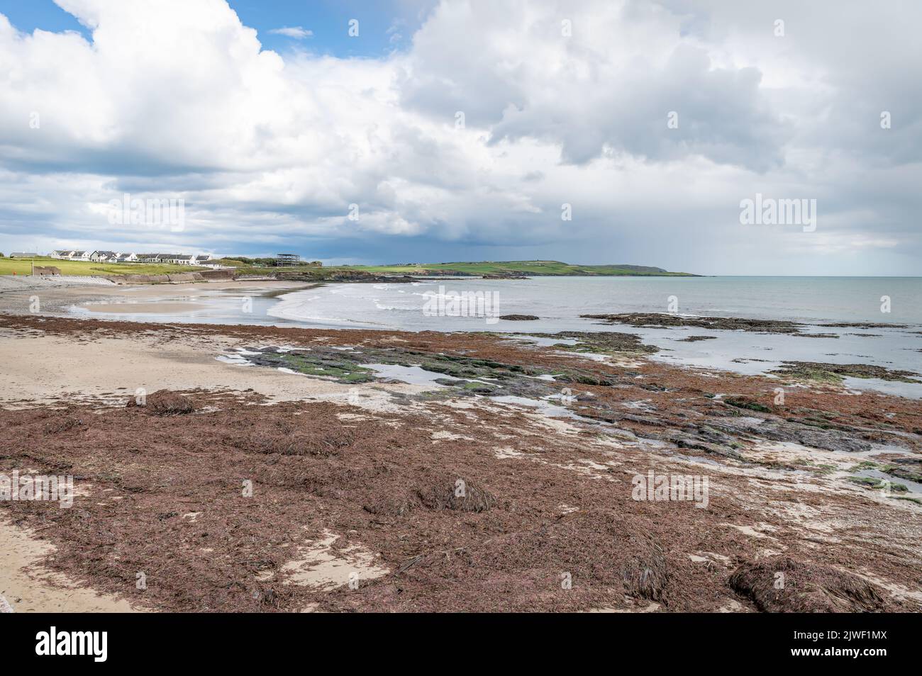 Garretstown Beach in County Cork, Ireland Stock Photo