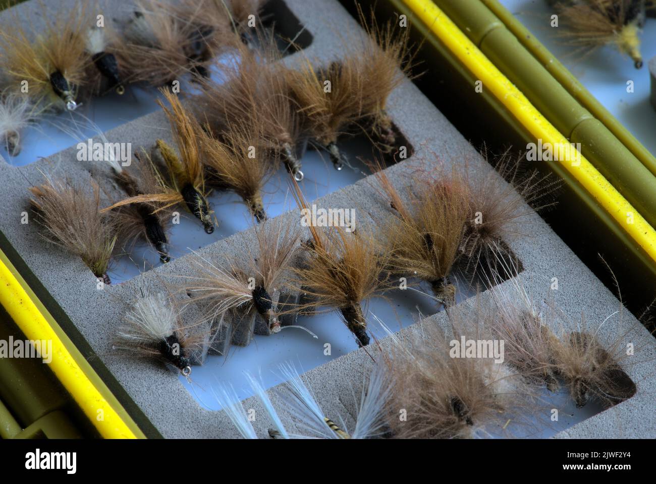 trout fishing fly storage box Stock Photo Alamy