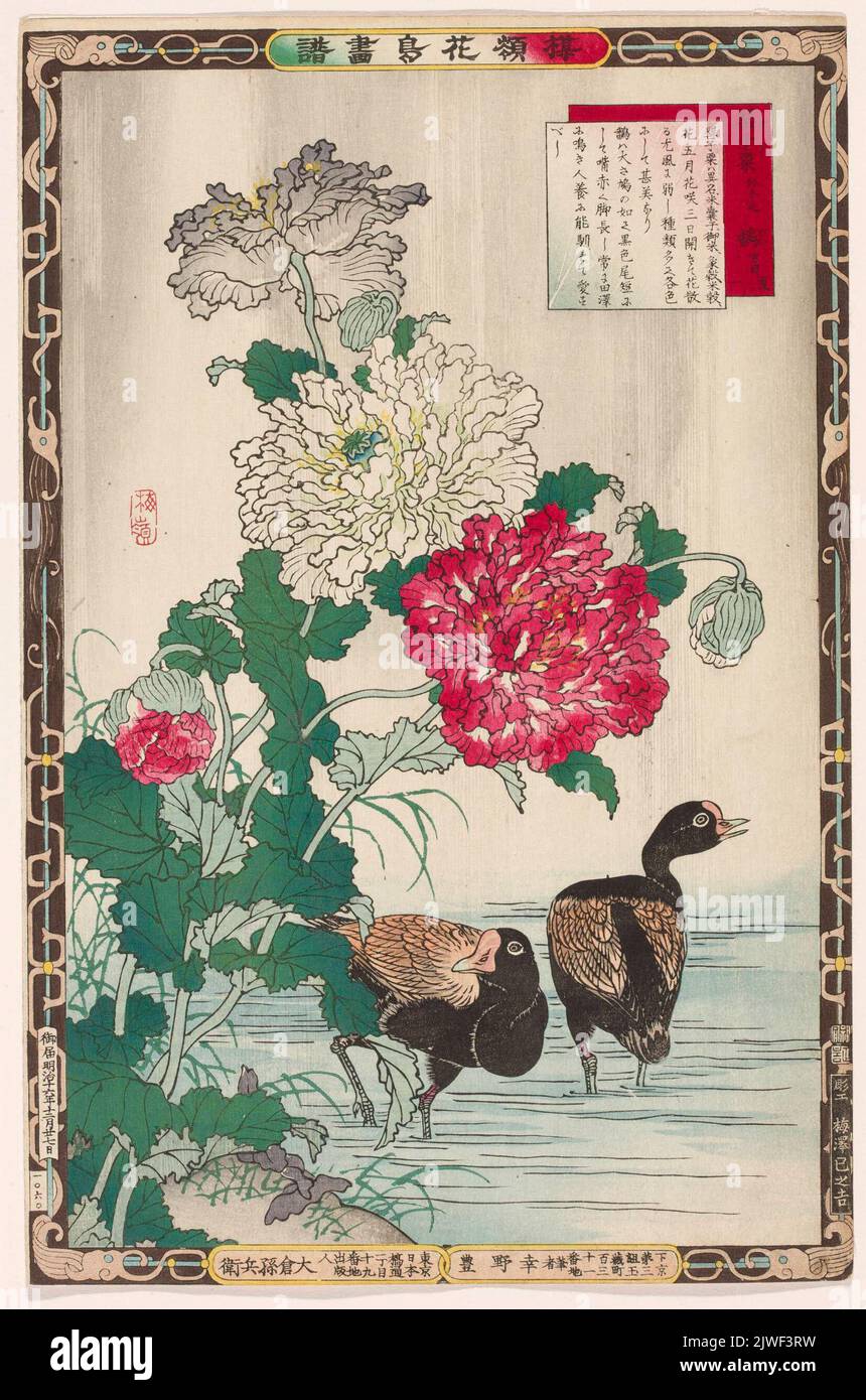 Poppies and moorhens (Keshi ban); card from the album titled “Bairei's Book of Birds and Flowers' (Bairei kacho gafu). Ôkura, Magobei (1843-1921), publisher, Bairei, Kôno (1844-1895), painter Stock Photo