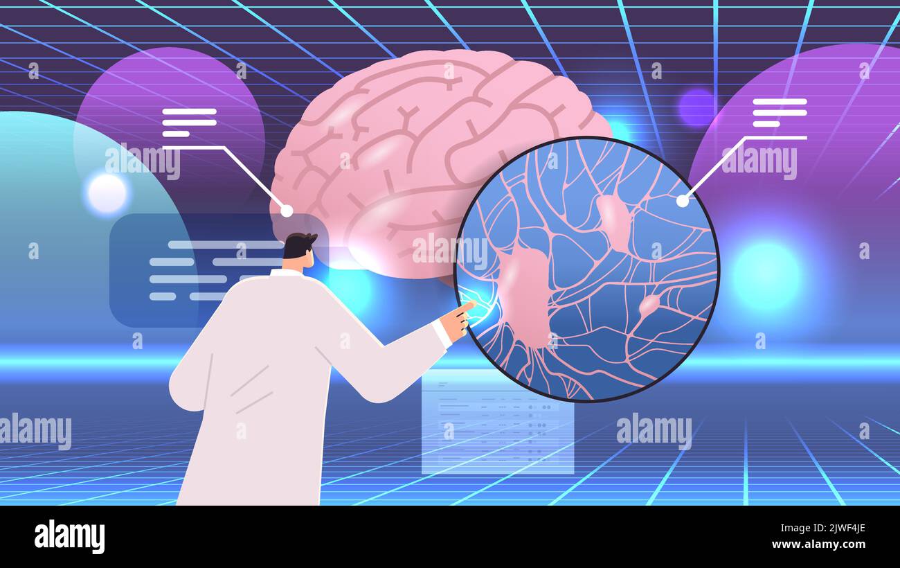 scientist showing detailed explanation anatomical brain structure human body internal organ anatomy medicine healthcare Stock Vector