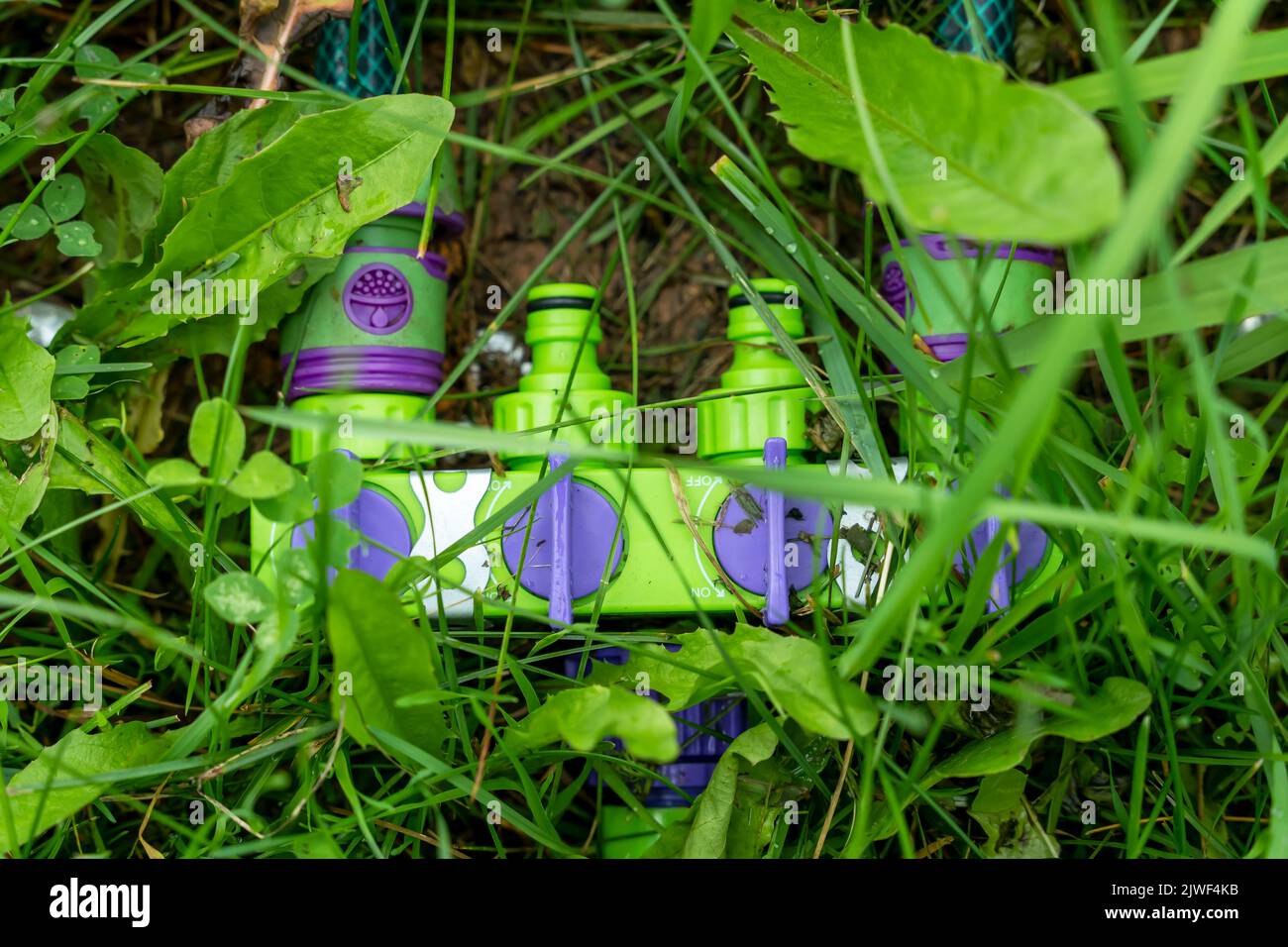 a plastic splitter for watering hoses lies on the green grass. Stock Photo