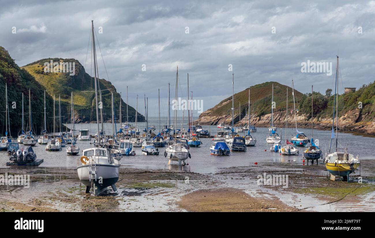 Watermouth Cove on the north coast of Devon, situated between Combe Martin and Ilfracombe, is a natural harbour on the edge of Exmoor National Park an Stock Photo