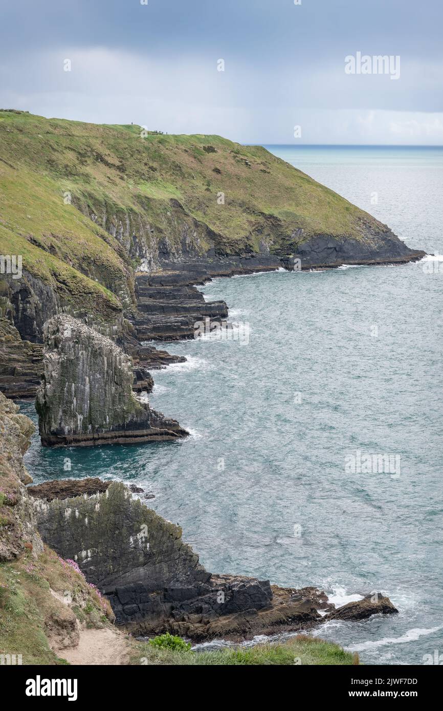 The Cliffs and coastline of Old Head in County Cork, Ireland Stock Photo