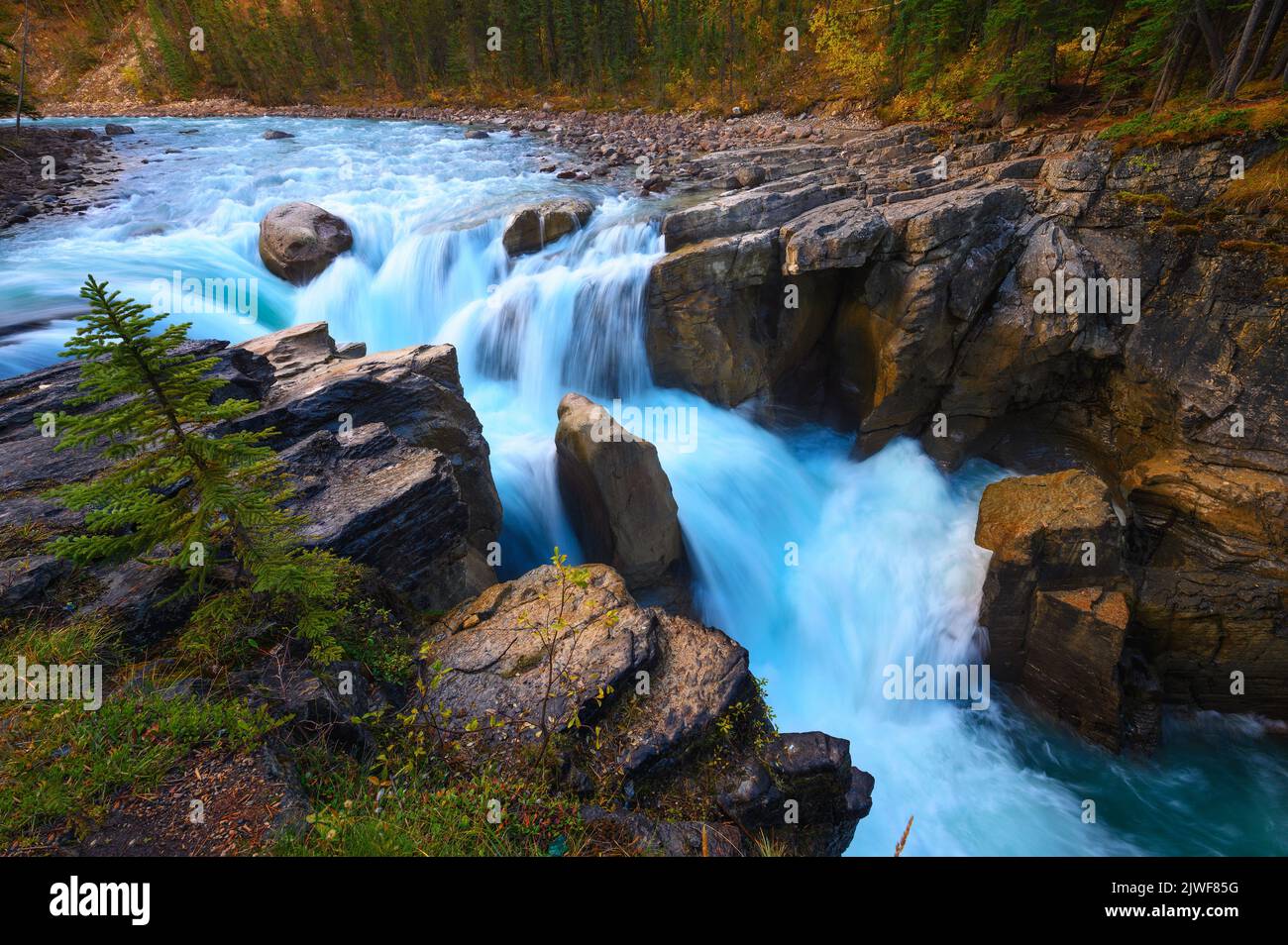 Sunwapta Falls in autumn, Jasper National Park, Canada Stock Photo