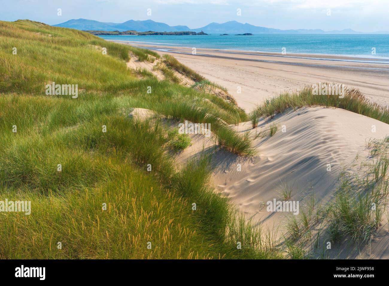 Sand dunes and marram grass at Newborough , Anglesey, North Wales. Llanddwyn Island and the Lleyn Peninsula in distance Stock Photo