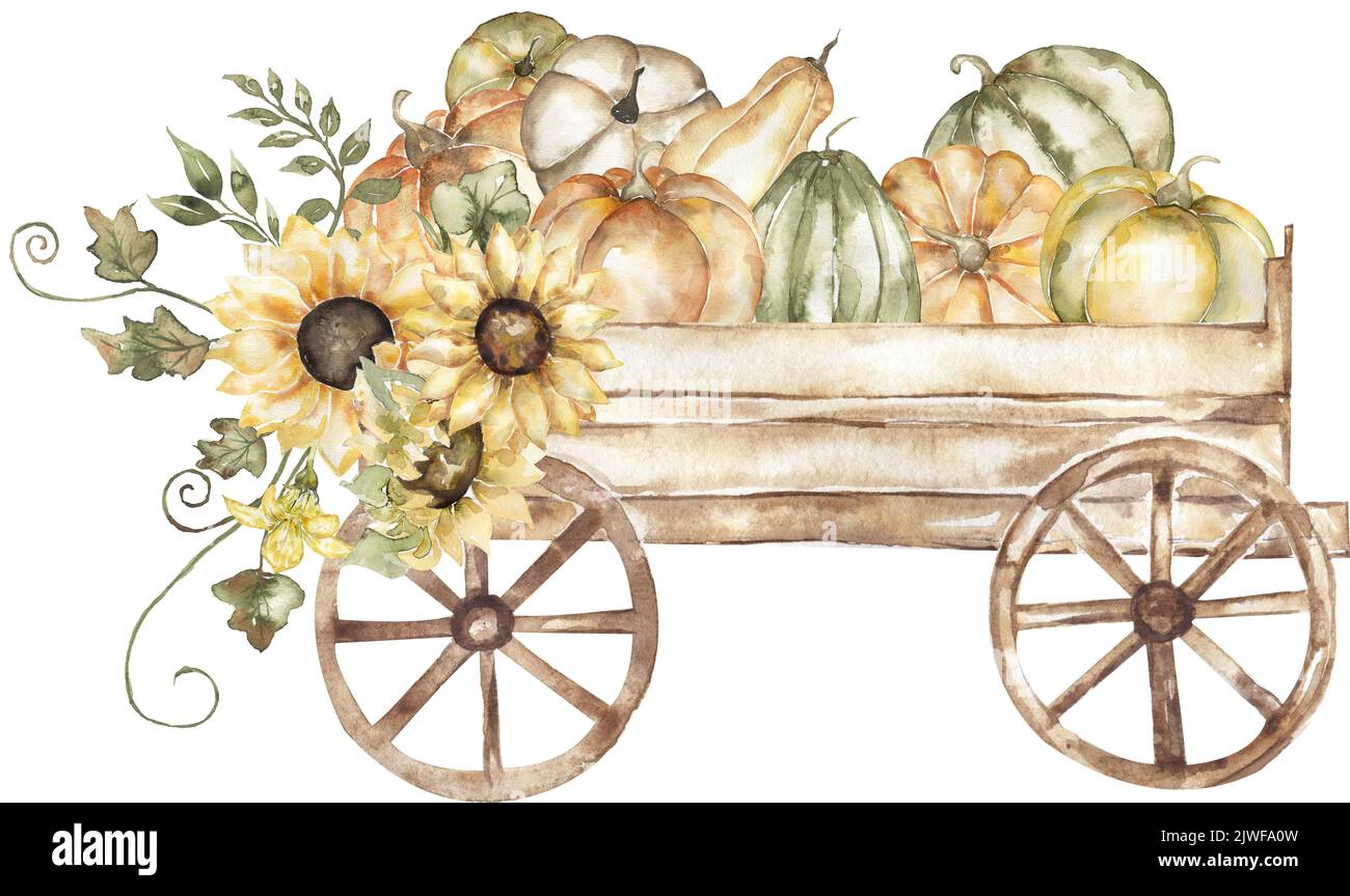 Watercolor harvest scene with wooden cart and pumpkin, sunflowers and leaves bouquet clipart. Fall decor composition with Wagon Wheel for Thanksgiving Stock Photo