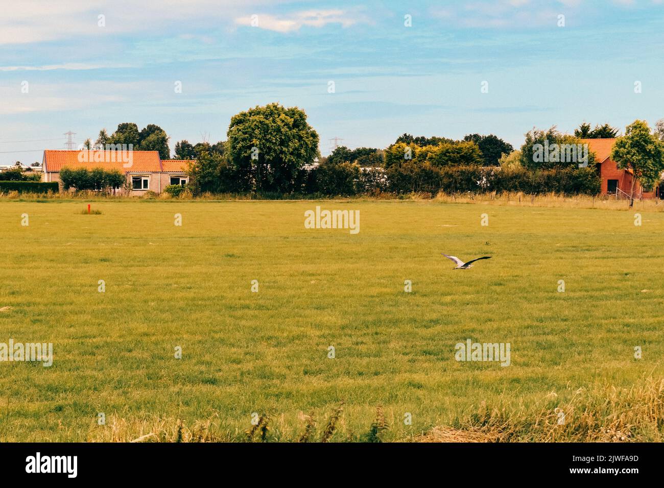 Living in a Quite Town, De Lier, June 2019 Stock Photo Alamy
