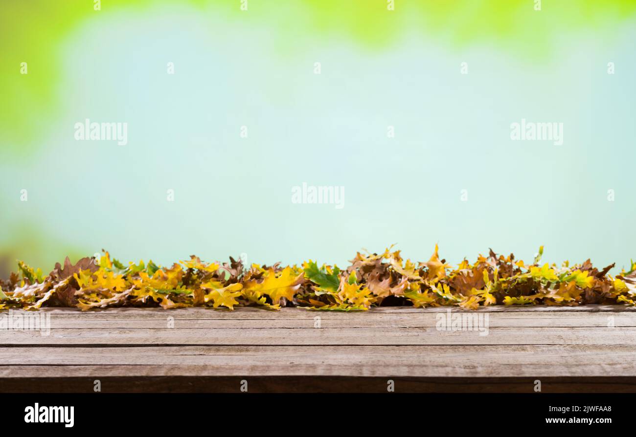 Wooden table and sunset background free space for your product display. Empty wooden table with autumn for a catering or food background Stock Photo