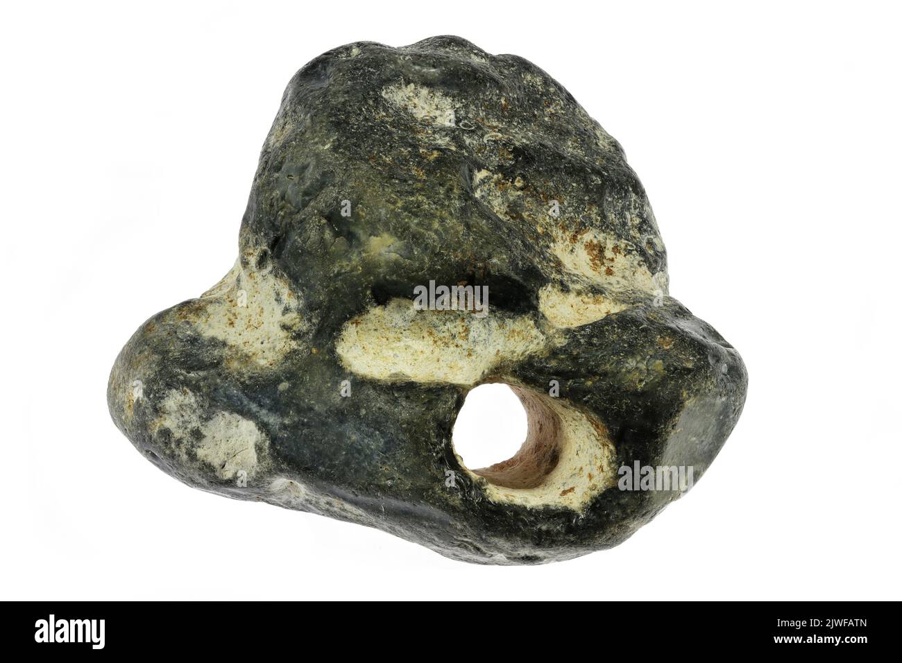adder stone from the Baltic Sea coast in Waabs, Germany isolated on ...