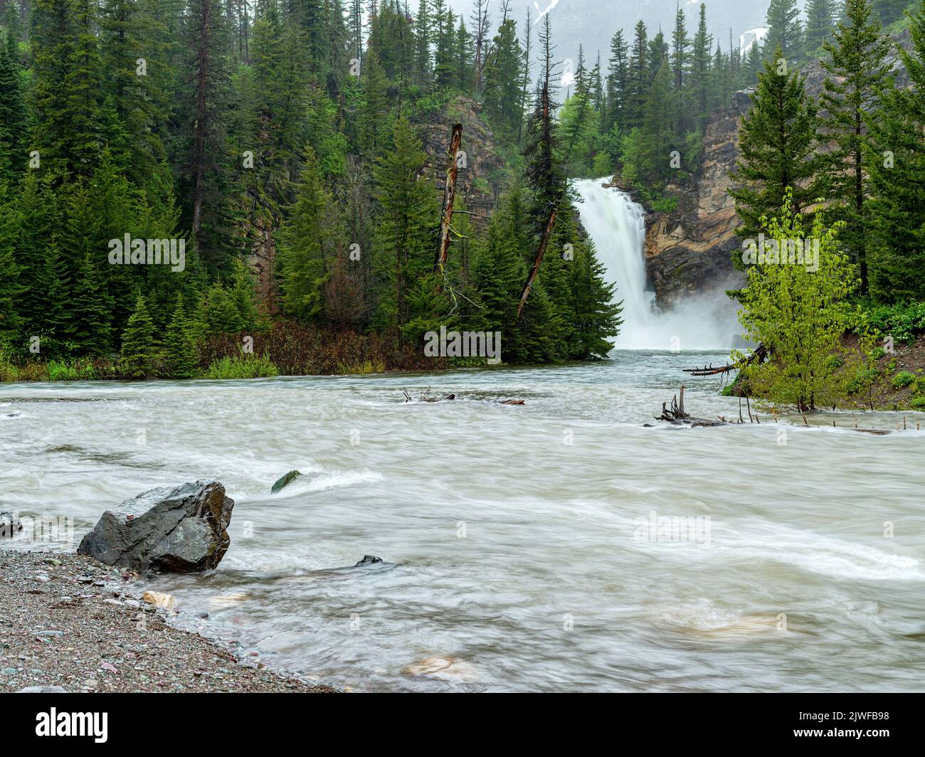 Waterfall forest and rapid river in Montana Stock Photo