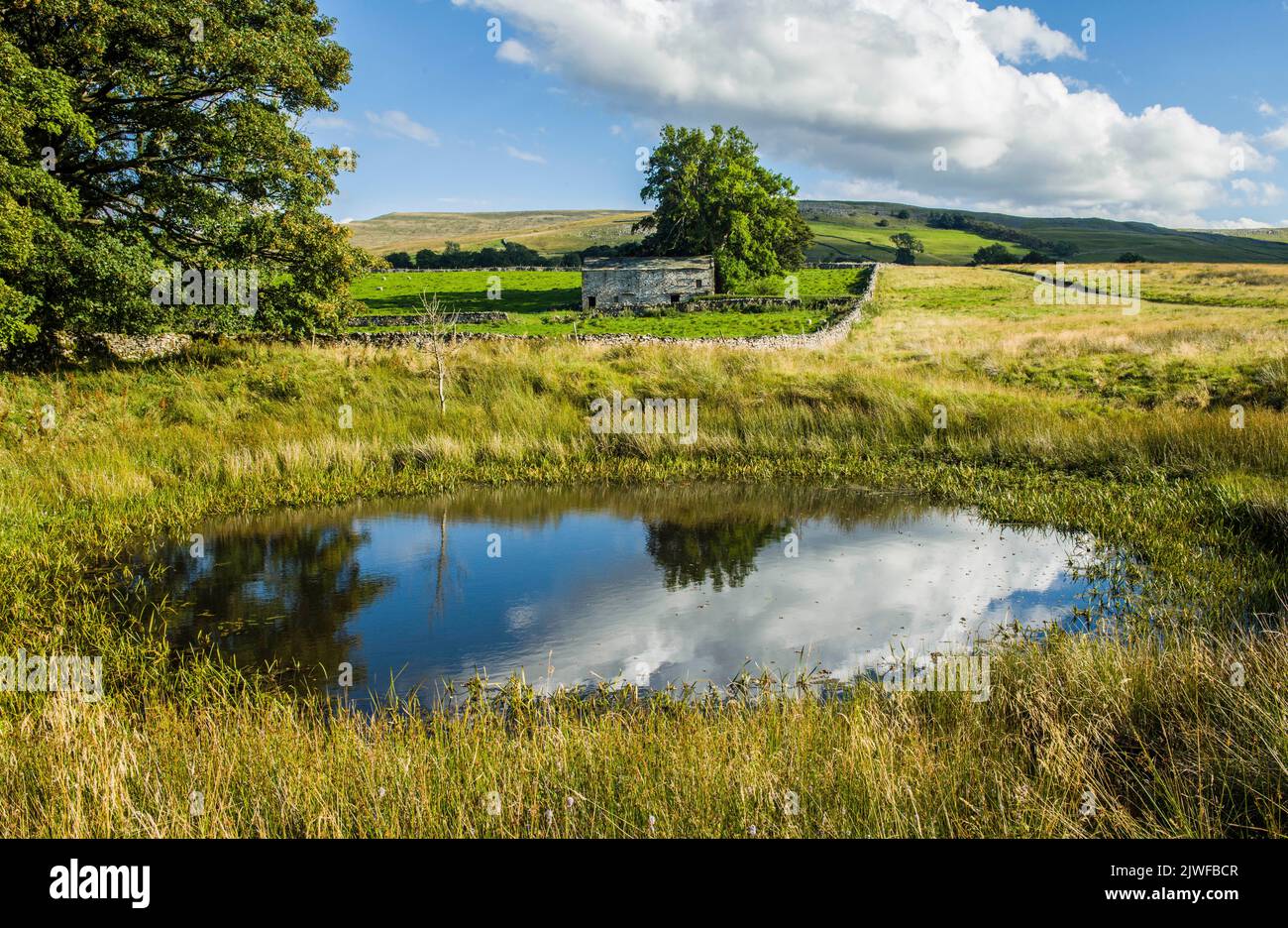 Beautiful reflection in an oval pond with a stone barn behind near Ravenstone in Cumbria Stock Photo