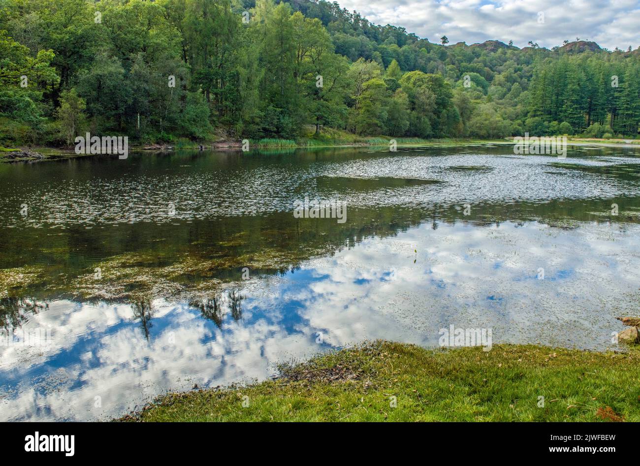 Yew Tree Tarn, a  beautiful lake just off the road near Coniston, in the Lake District National Park Stock Photo