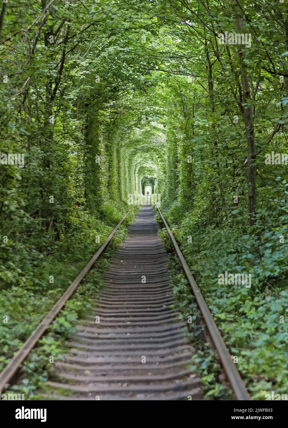 Tunnel of Love, a section of industrial railway surrounded by green arches near Klevan, Ukraine. Stock Photo