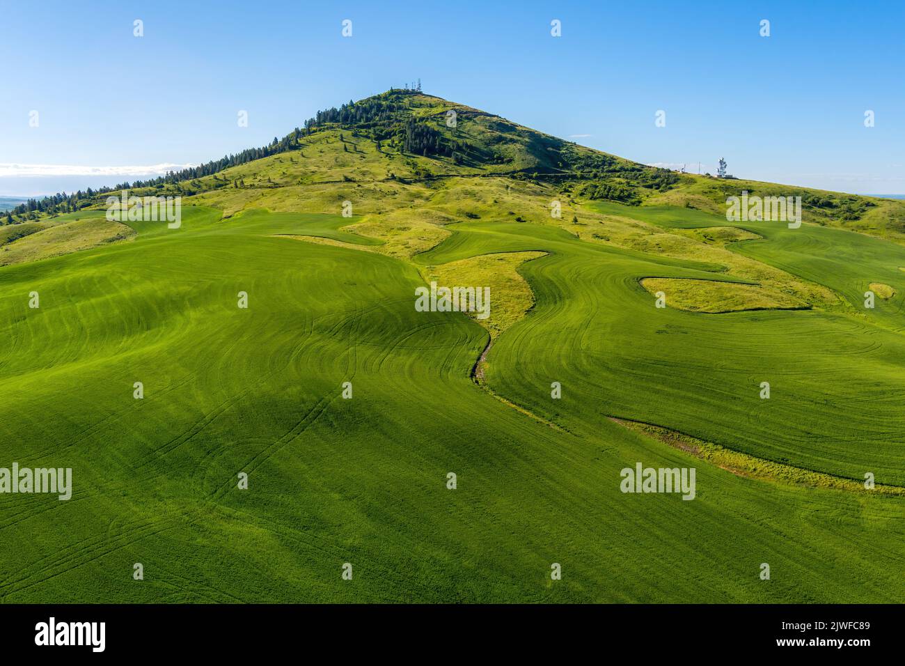 Farmland of wheat fields lead up to the base of Steptoe Butte Stock Photo