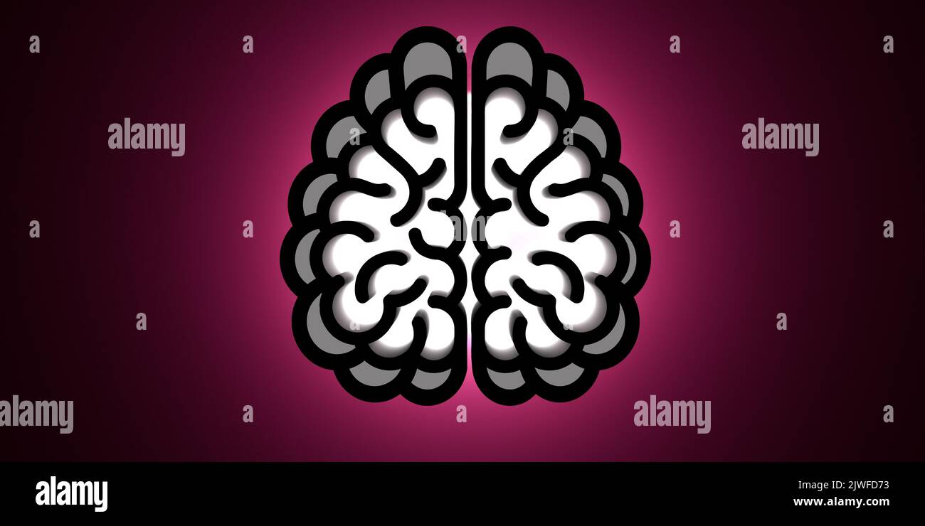 AI(Artificial Intelligence) learning concept: Cyber-brain,top view on brain scan section. Symbol with curves and out line. 2 pc 3D render illustration Stock Photo