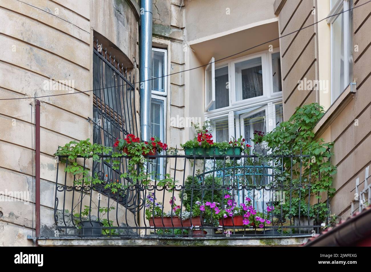 Dead plant balcony hires stock photography and images Alamy