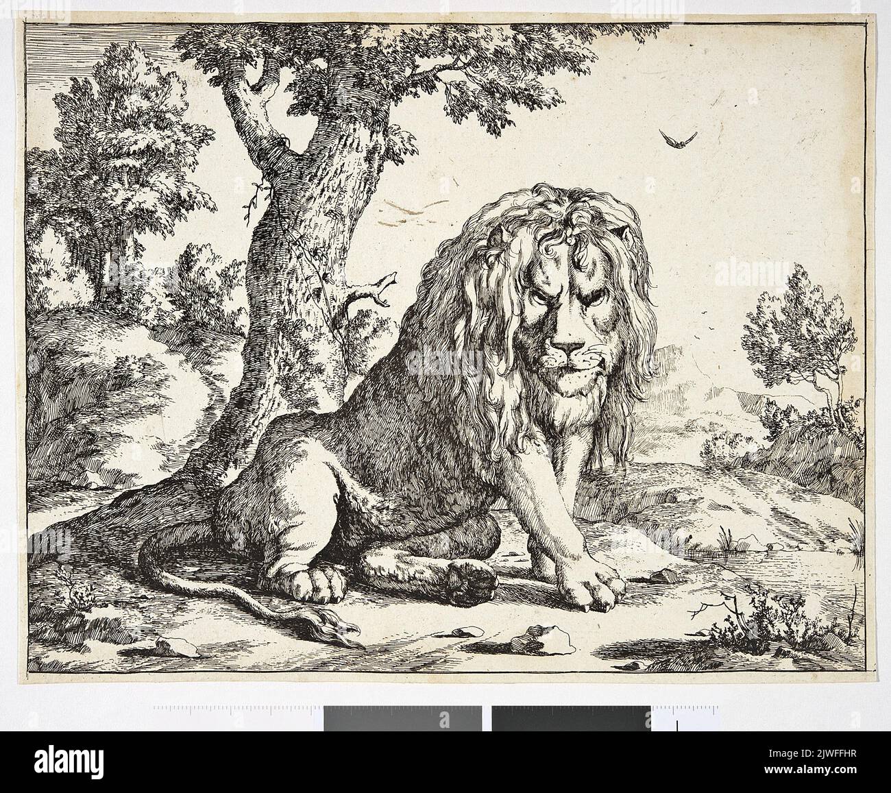 Sitting lion. Bye, Marcus de (1639ca 1688), graphic artist, Potter