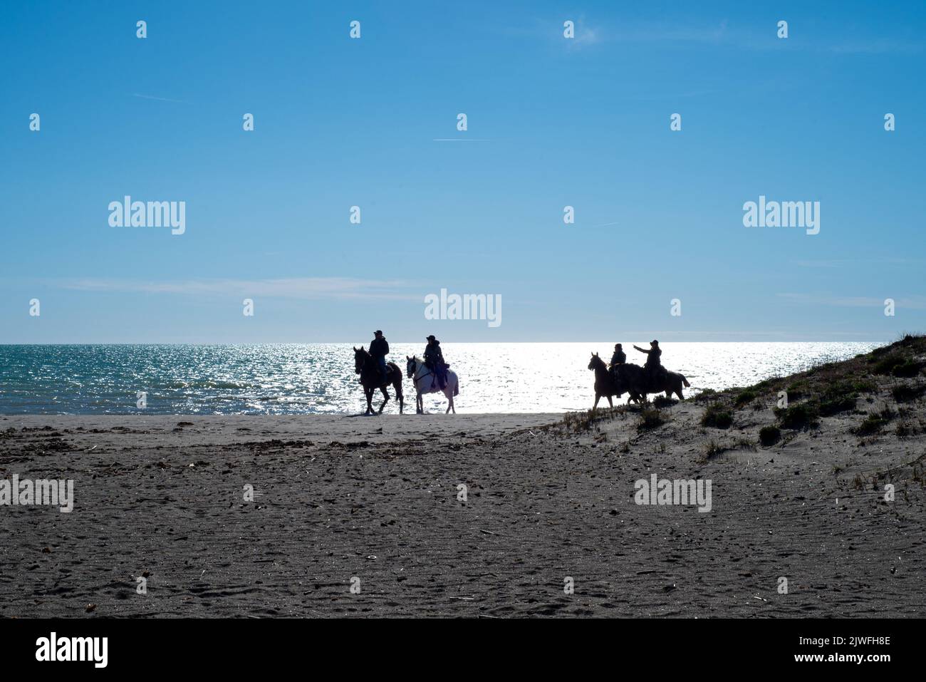 Group of horses walking on the beach at sunset. In the background the blue sky and the sparkling sea Stock Photo