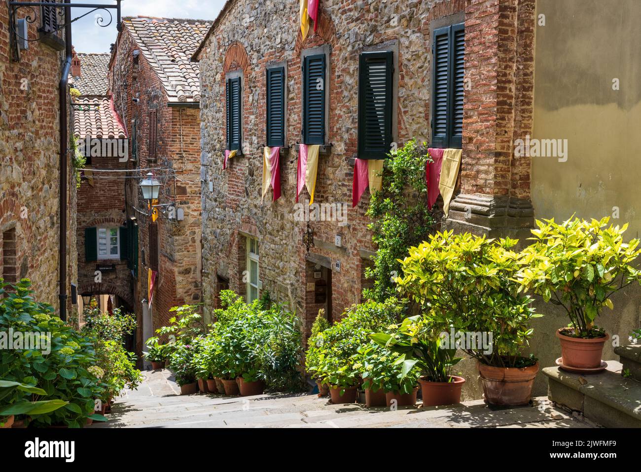 Potted plants line the steps in a narrow alleyway in the medieval hilltop town of Lucignano in the Val di Chiana in Tuscany, Italy Stock Photo