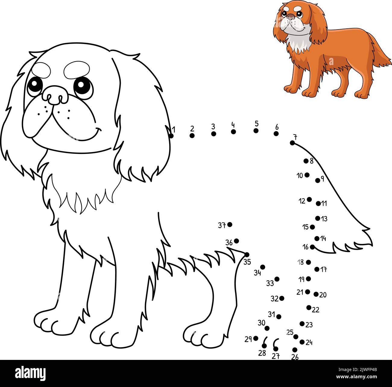 dot-to-dot-king-charles-spaniel-isolated-coloring-stock-vector-image