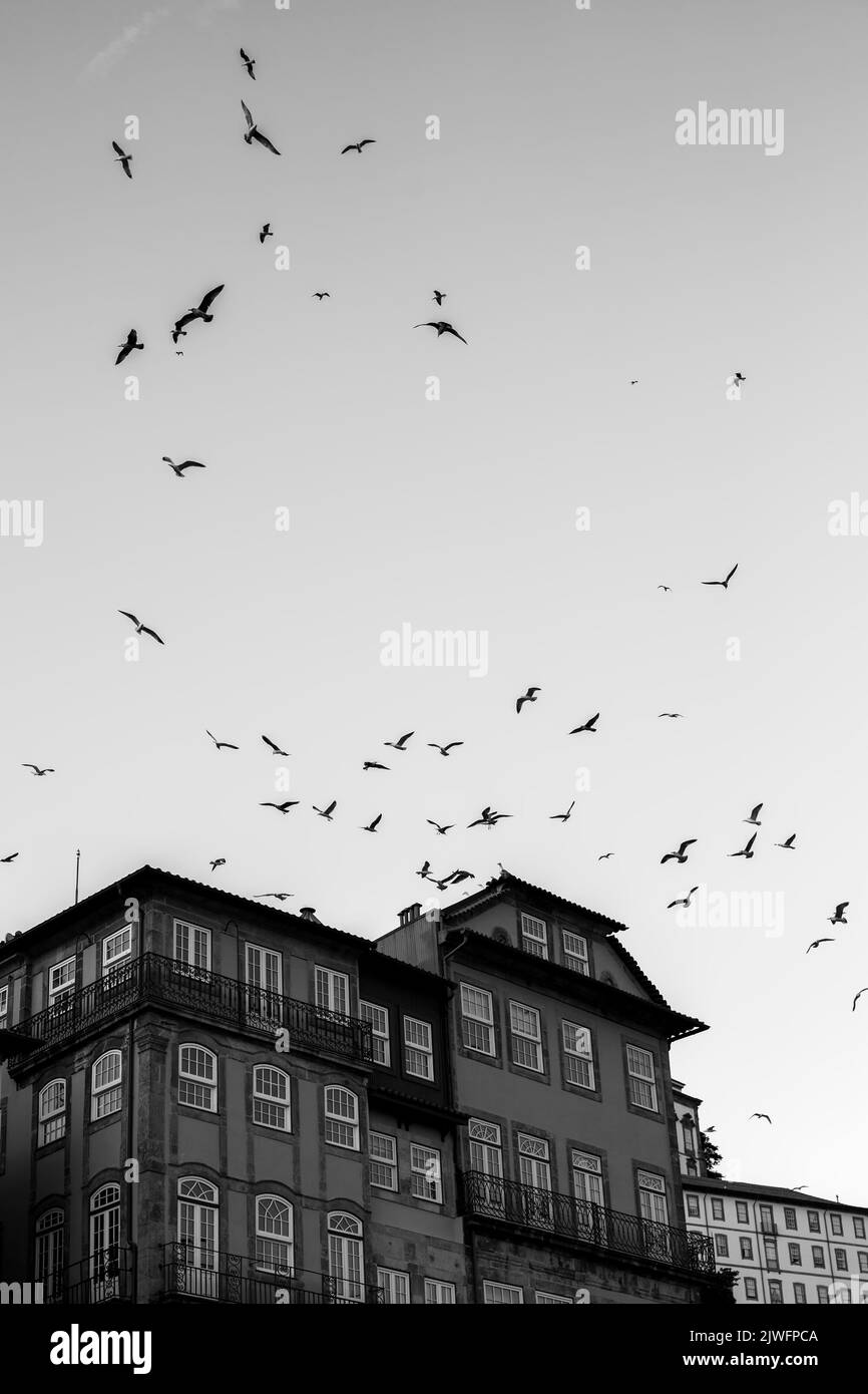 Skyline circling Black and White Stock Photos & Images Alamy