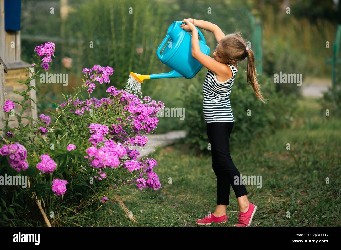 A girl is watering flowers from a watering can outside. Stock Photo