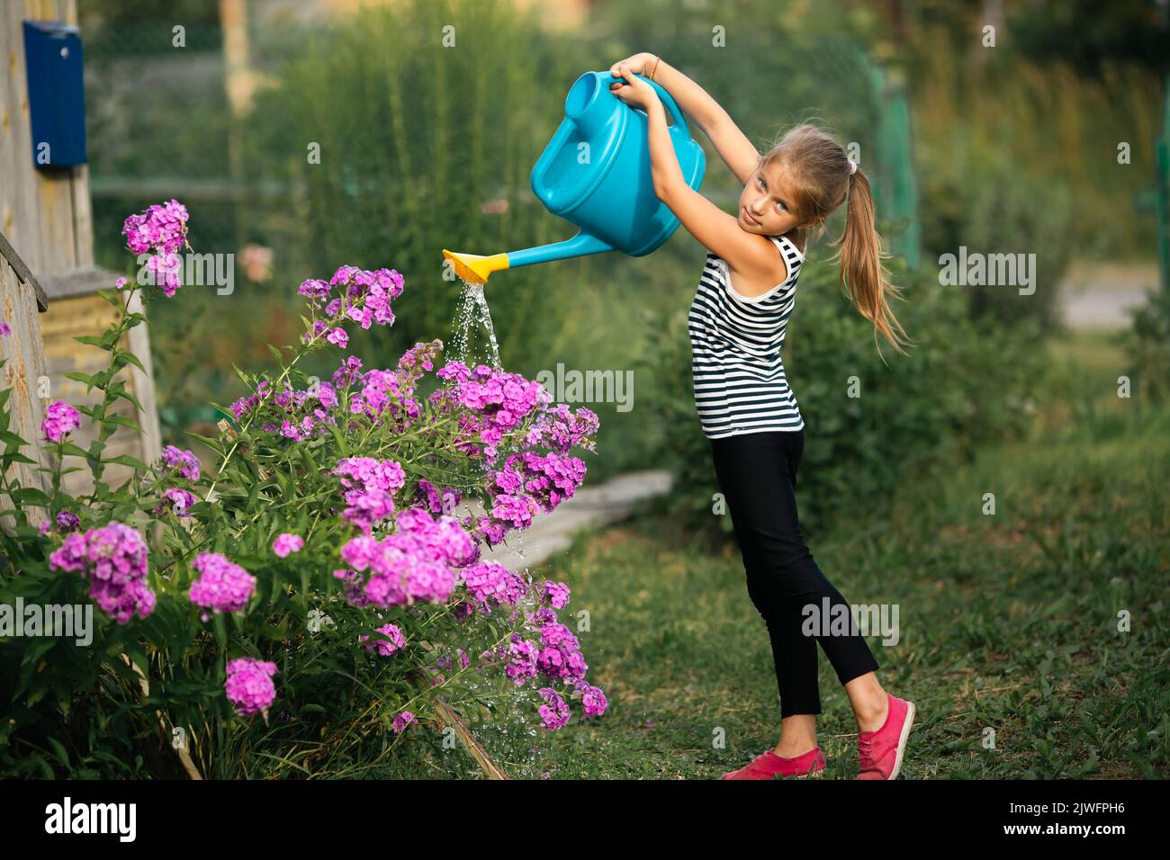 A girl is watering flowers from a watering can in a country house. Stock Photo