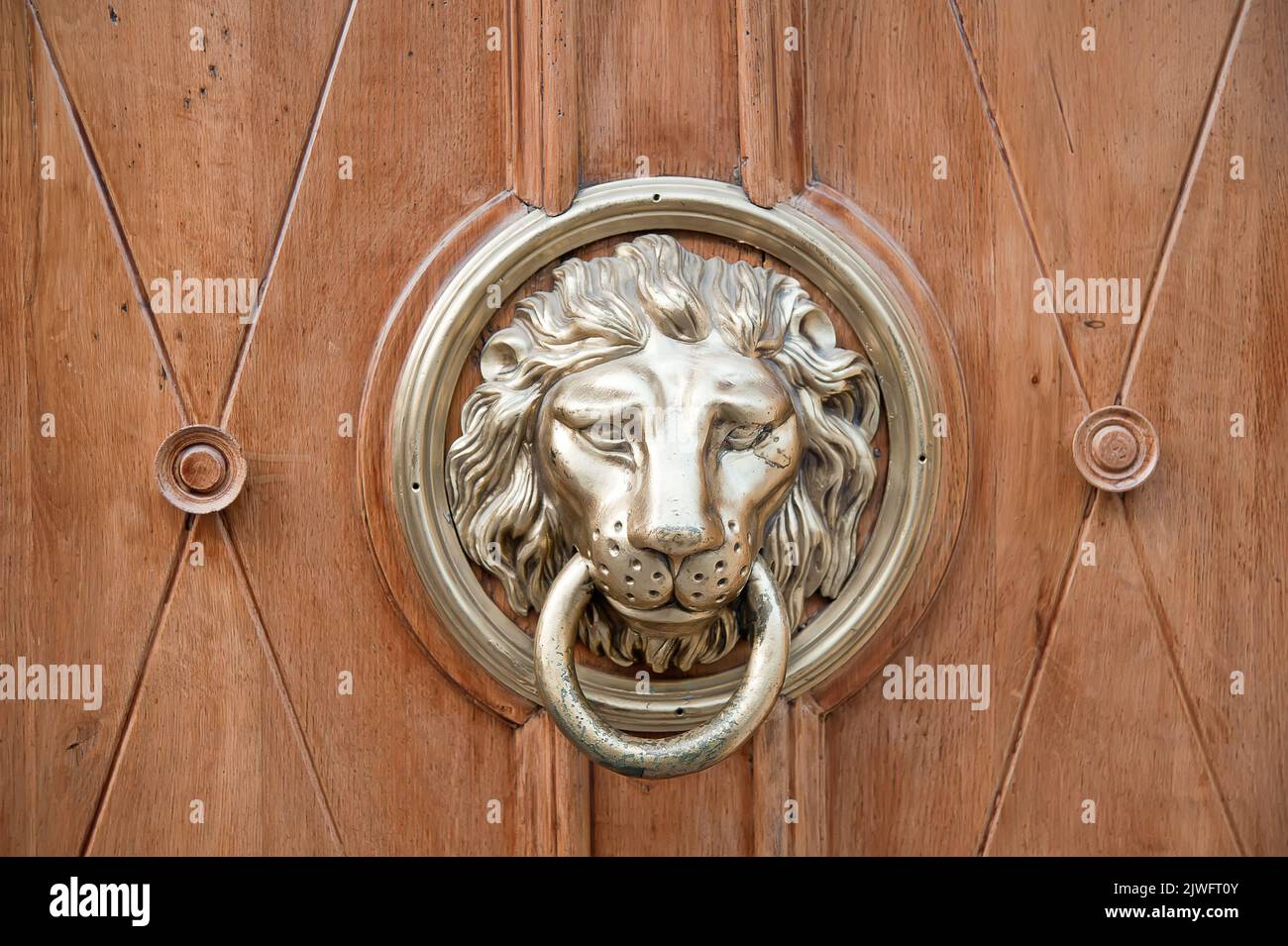 Vintage Lion Door Knocker, Furniture & Home Living, Security & Locks