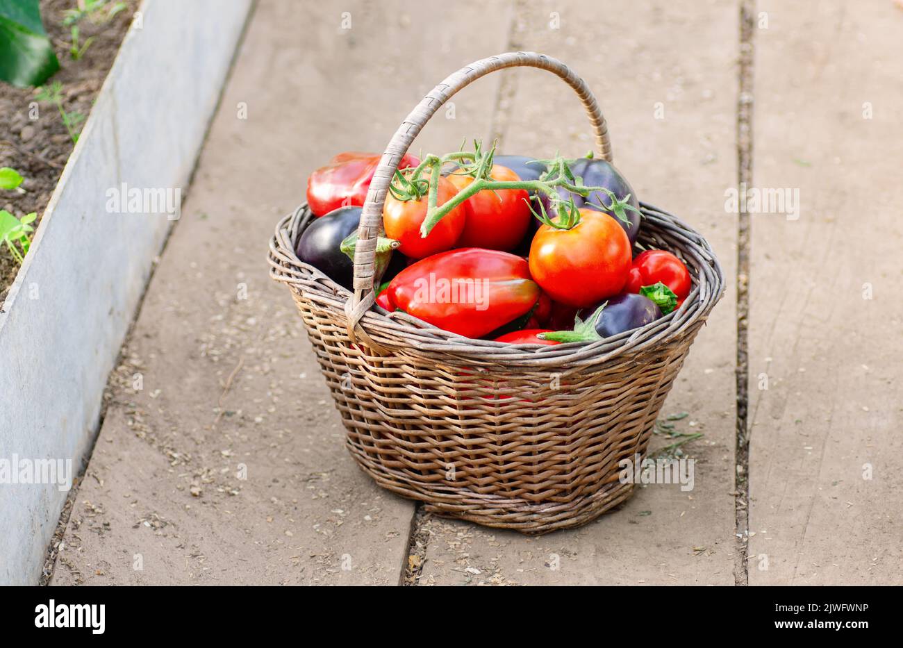 Fresh vegetables in a wicker basket against the backdrop of a ...