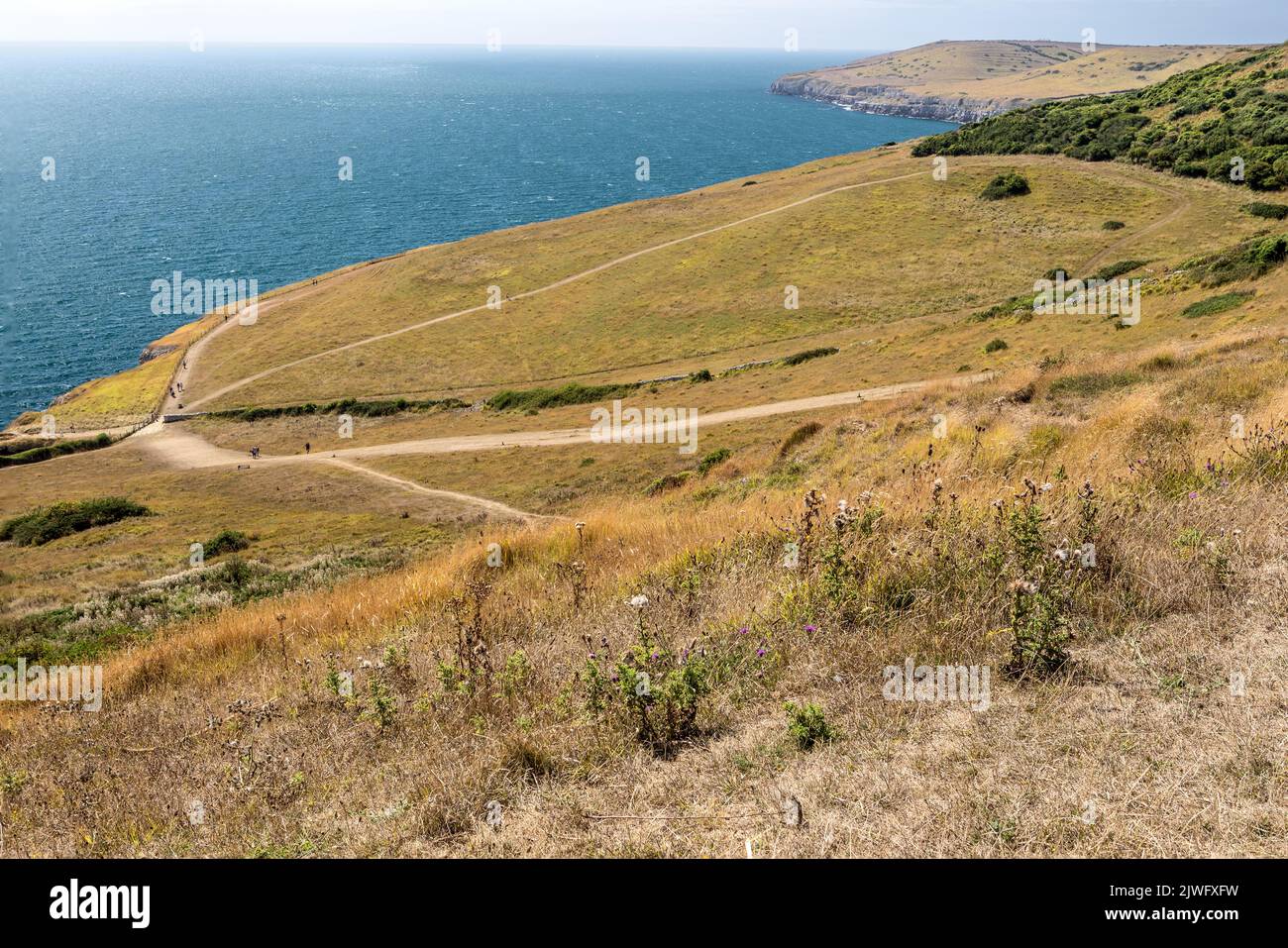 View from hills above dancing ledge, Langton Matravers, Dorset, UK