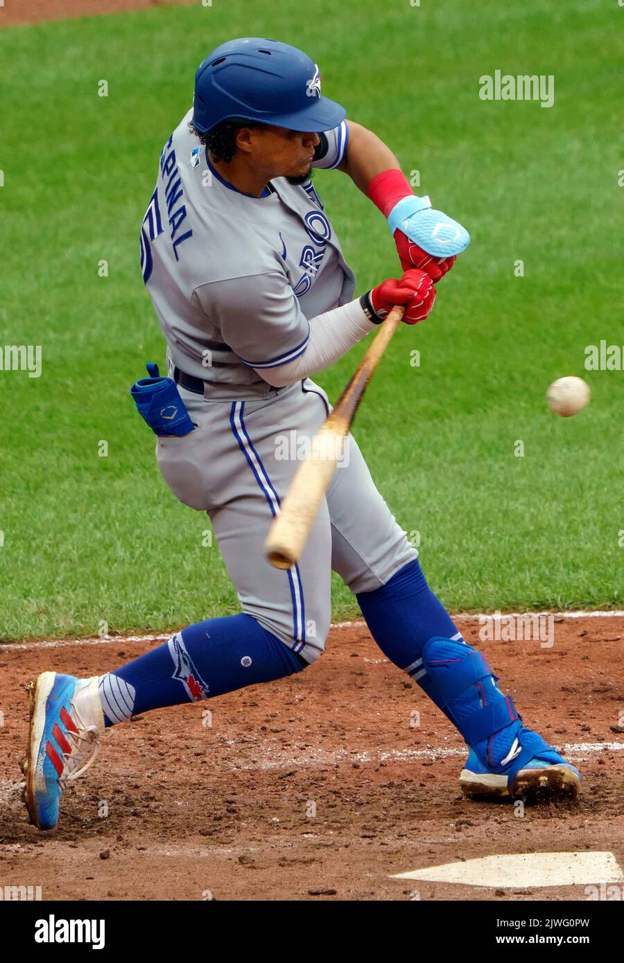 Lourdes Gurriel jr on X: RT @BlueJays: @Cut4 @MLB Flow my Lourdes 🤩   / X