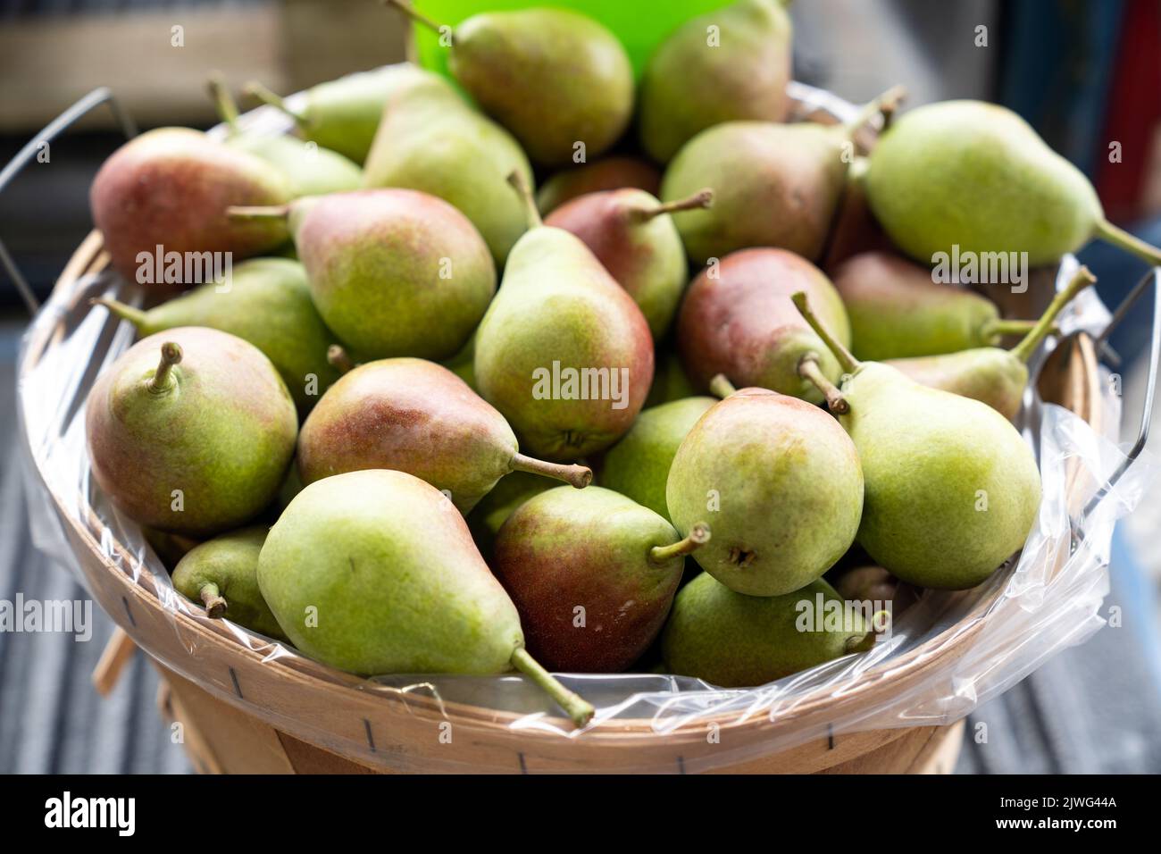Basket of pears Stock Photo
