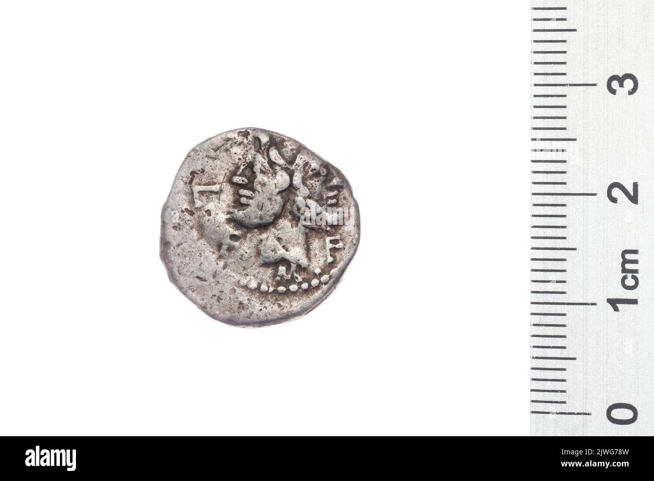 Philus hi-res stock photography and images - Alamy