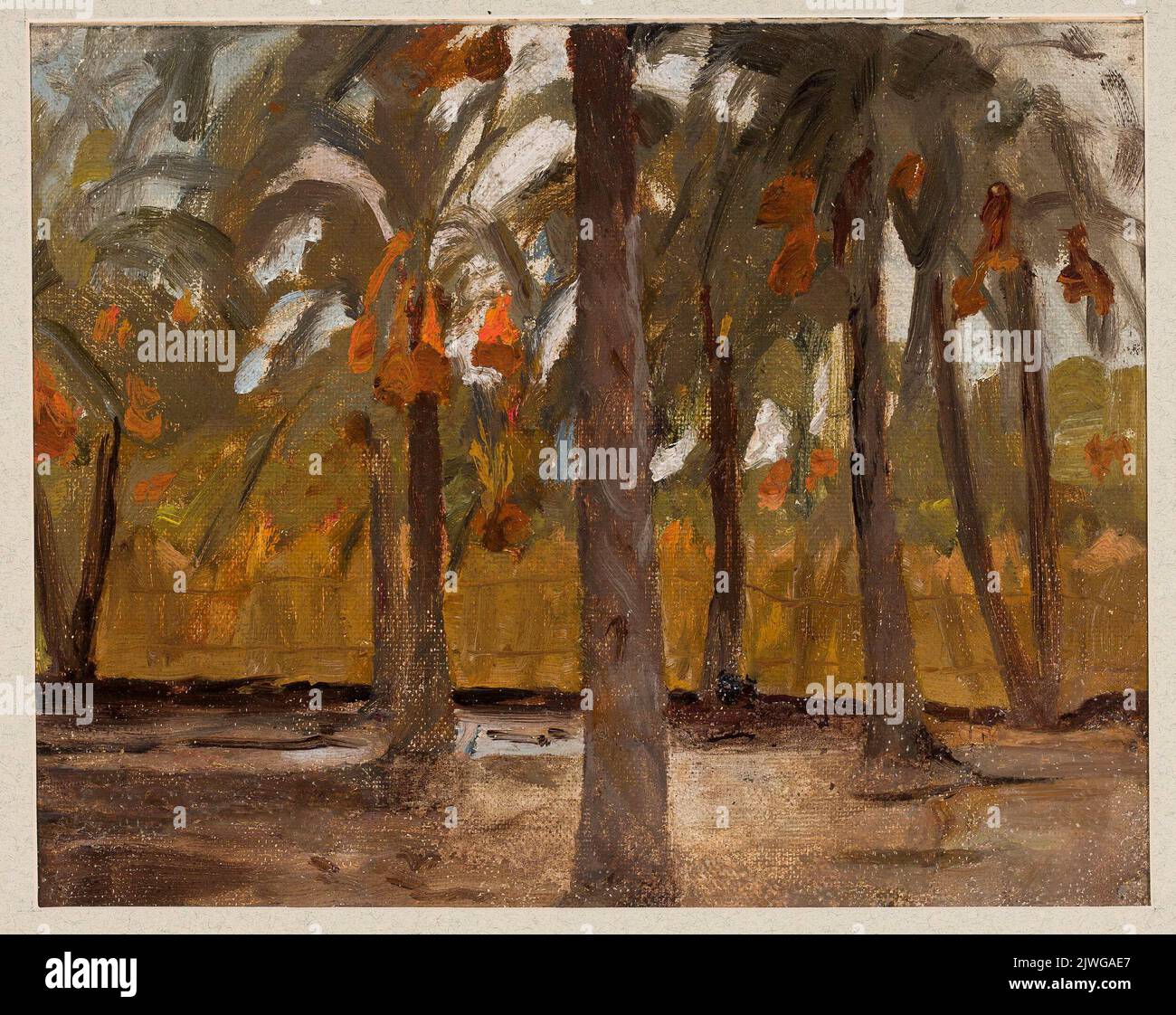 Egyptian palm forest. From the journey to Egypt. Ciągliński, Jan (1858