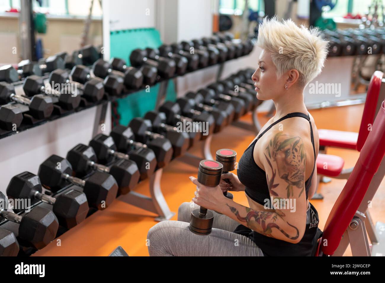 A young woman is engaged in fitness at the GYM. Stock Photo