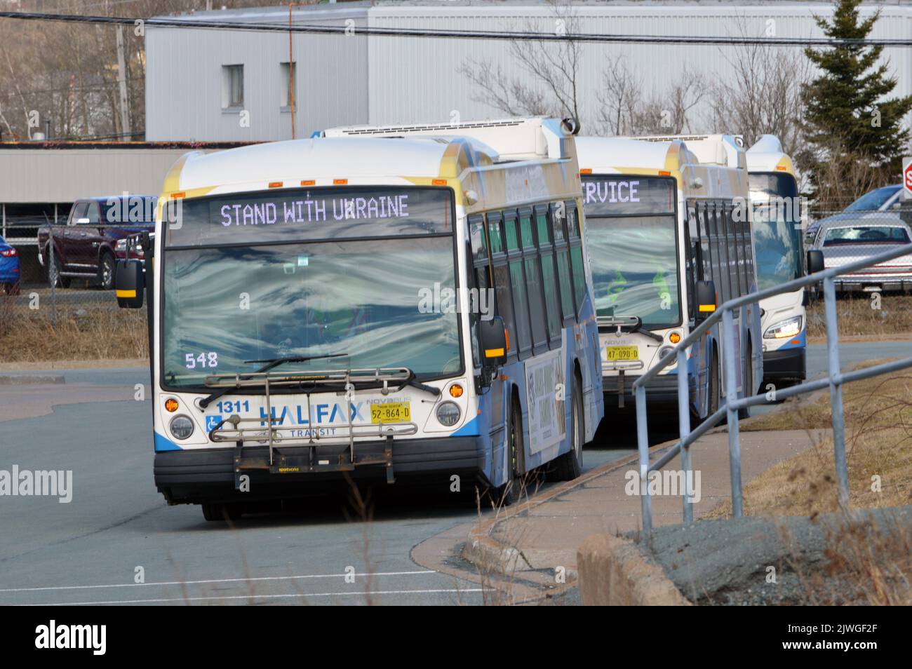 Buses dwelling at Sackville Terminal of the Halifax Transit system in Halifax, Nova Scotia, Canada Stock Photo