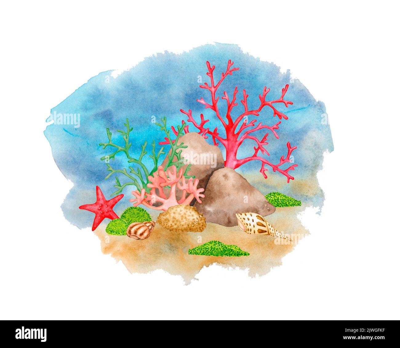 Sea bottom. Watercolor composition. Coral reef, shellfish, starfish. Illustration for logo, label, poster, print, postcard, stationery. Stock Photo