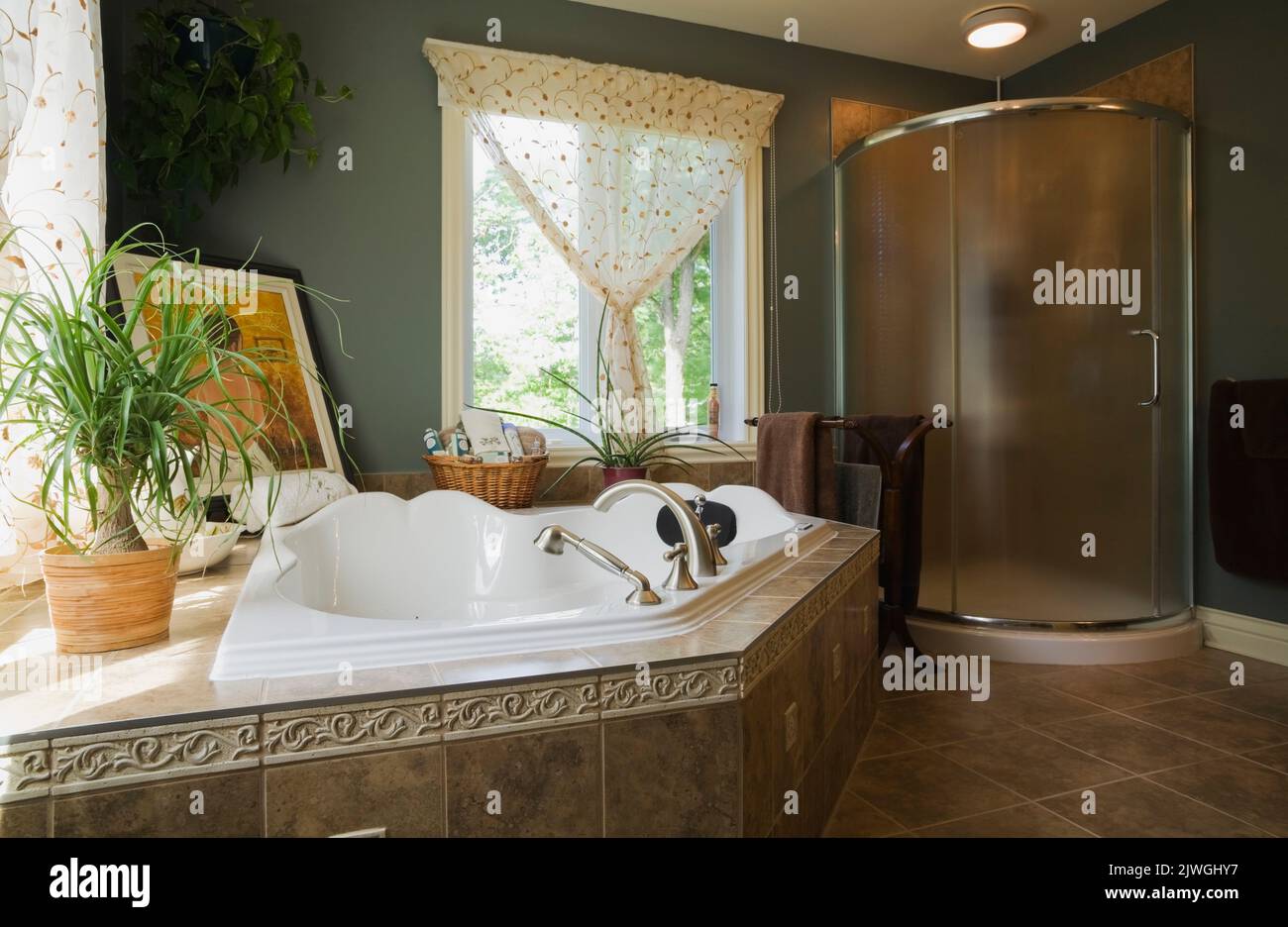 Main bathroom with whirlpool bathtub and glass shower stall inside cottage style home. Stock Photo