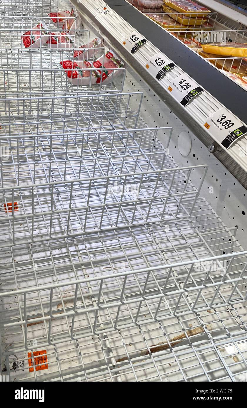 West Islip, New York, USA 5 February 2022 Empty food bins that are