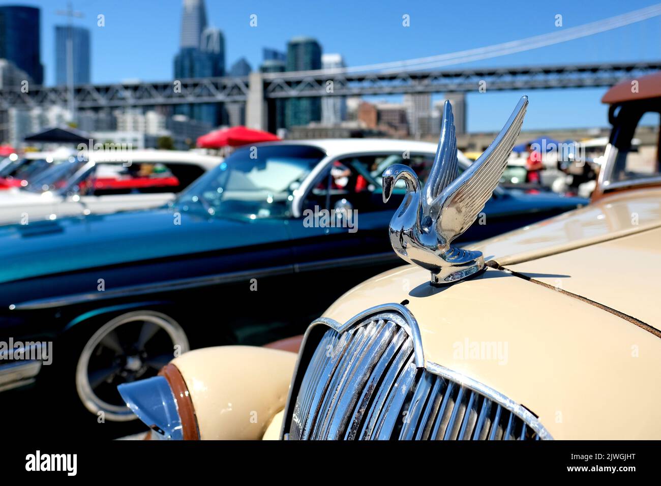 Chrome bugler swan hood ornament with raised wings on a classic car
