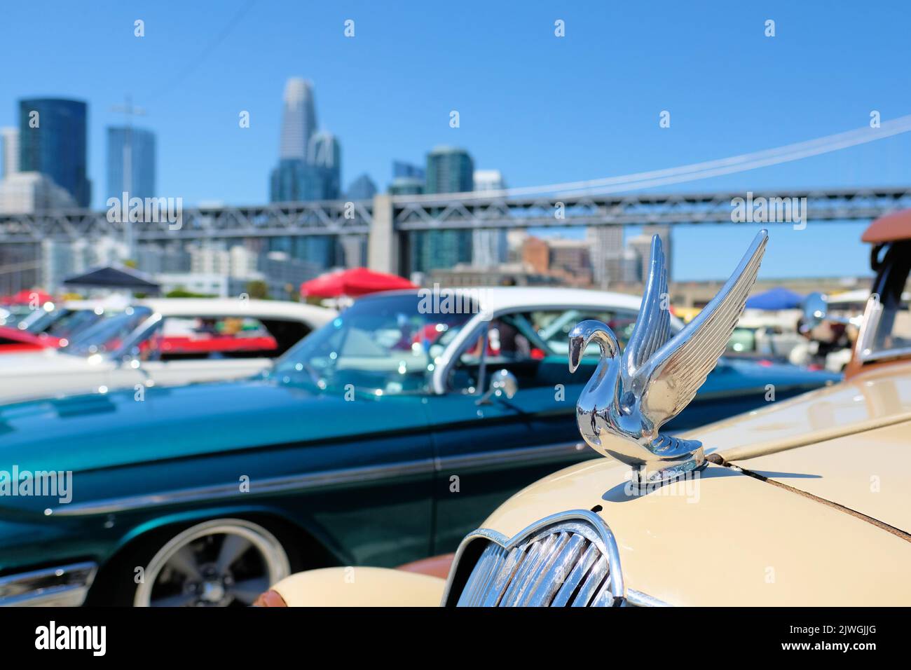 Chrome bugler swan hood ornament with raised wings on a classic car
