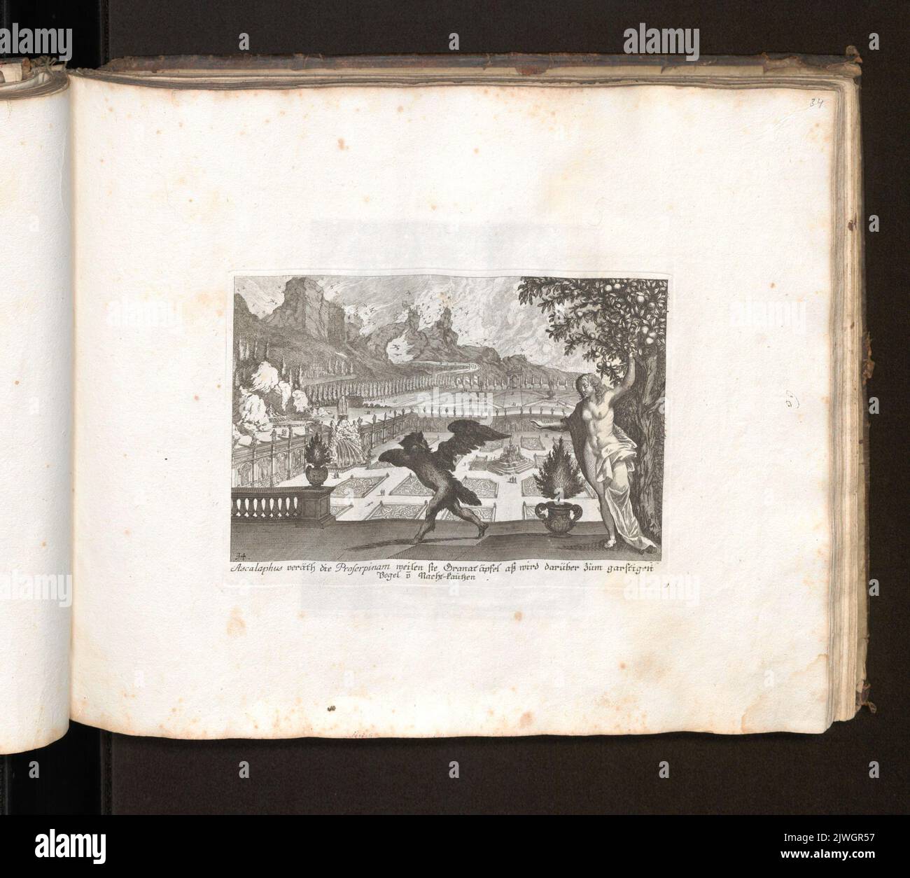 Ascalaphus veräth die Proserpinam [...] garstigen Vogel v[on] Nacht-Kautzen. Küsel, Melchior I (1626-1683), graphic artist, Baur, Johann Wilhelm (1607-1642), graphic artist Stock Photo