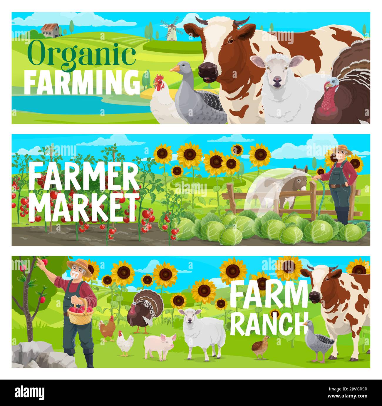 Organic farm and market. Farm animals, cattle, orchard and vegetables vector banners with cartoon farmer on farm field, cows, chickens, pigs and sheep, apples, tomatoes, cabbages, donkey and turkeys Stock Vector