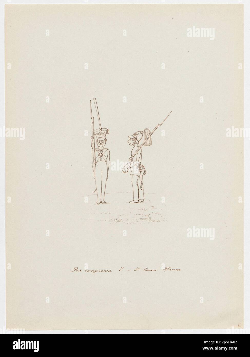 'Poa compressa, Poa lasca Haenke'. Winkler, Karl Gustav Adolf (1810-1893), draughtsman, cartoonist Stock Photo
