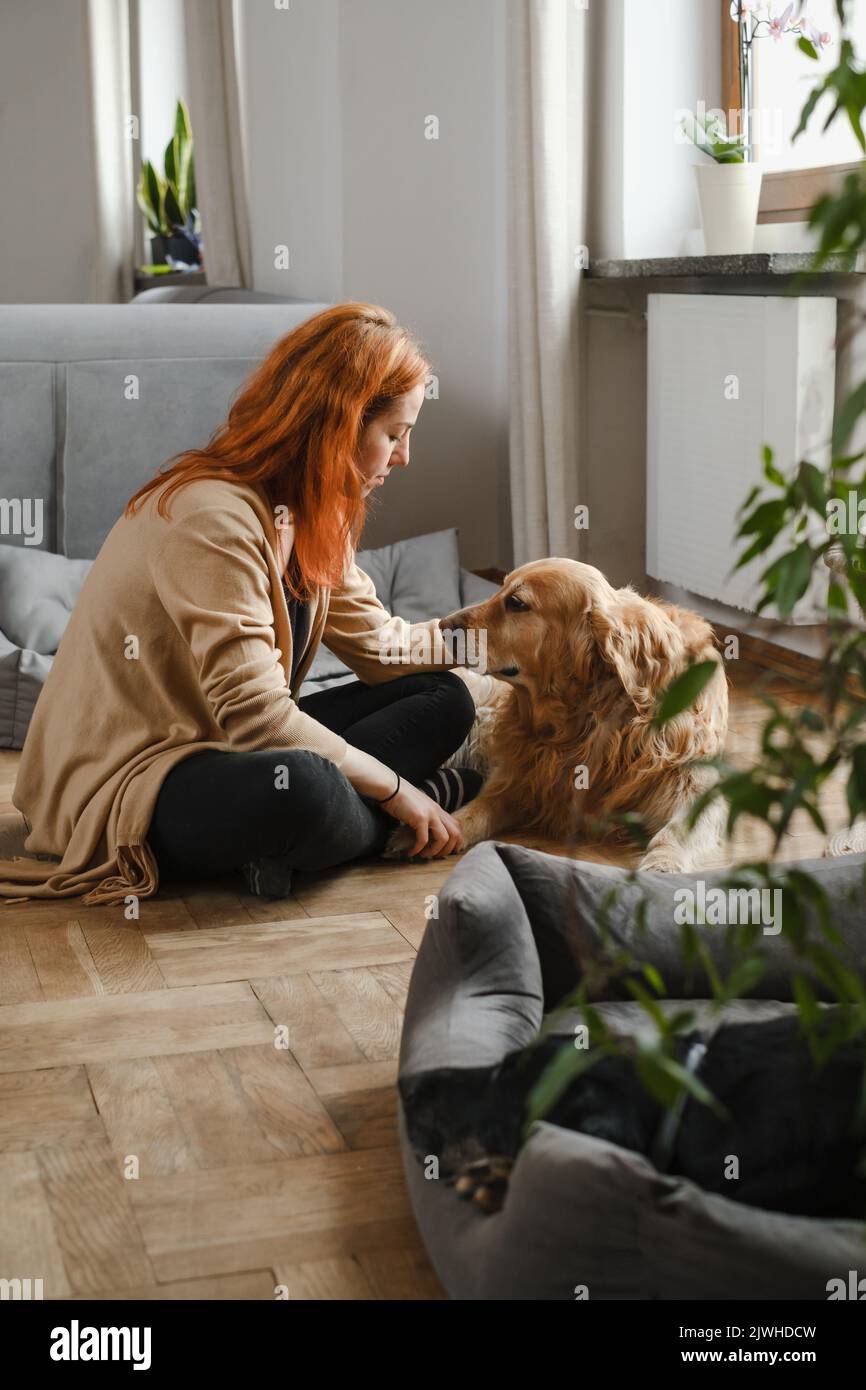 Do Big Dogs Like To Cuddle