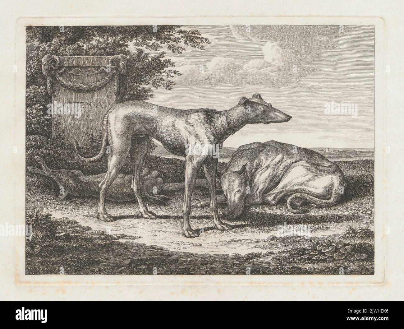 Zwei Windhunde und ein todter Hase. Reinhart, Johann Christian (1761-1847), graphic artist Stock Photo
